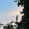 Lưu Chí Nghĩa