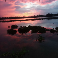 Tý nhỏ